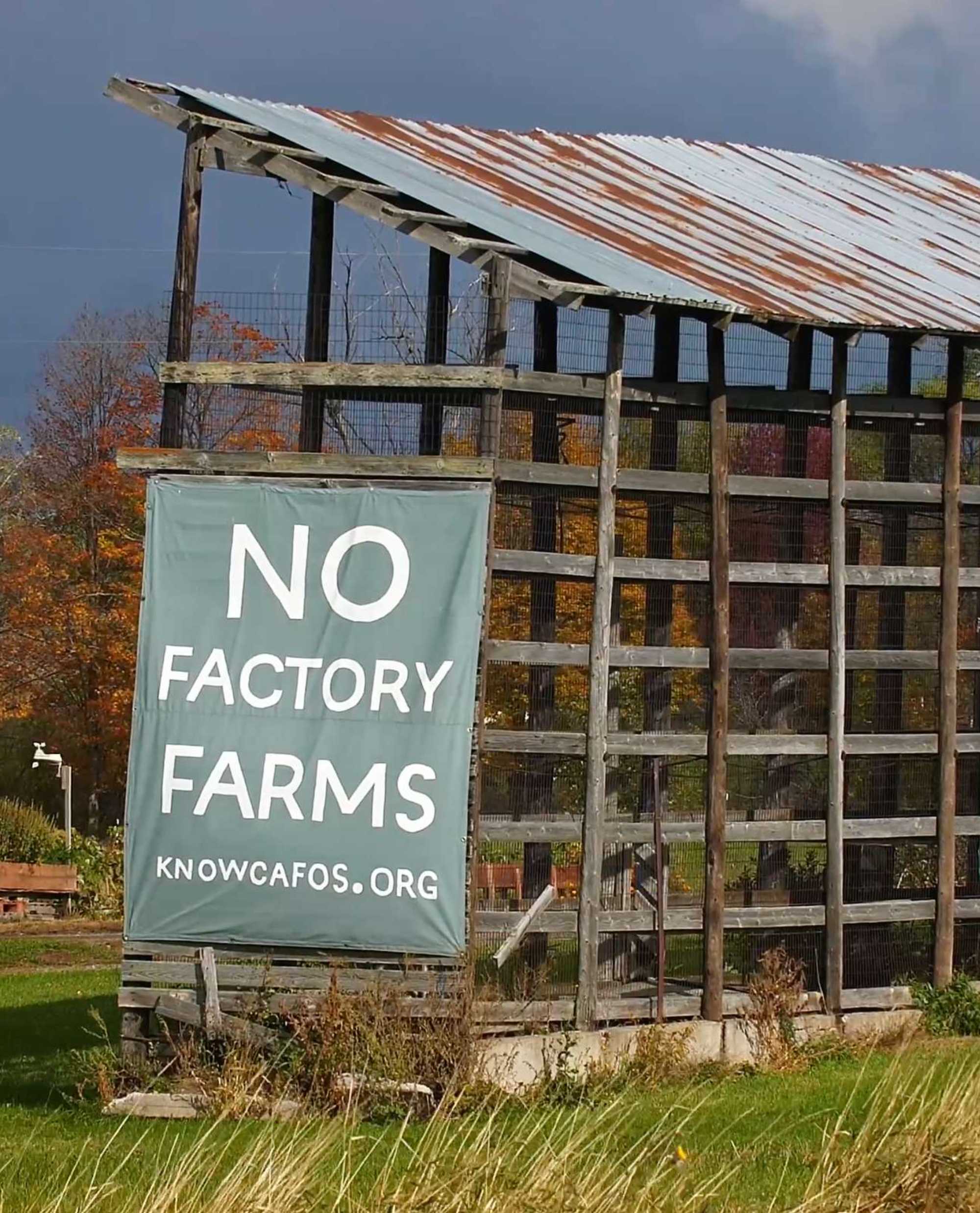 A sign that reads “No Factory Farms” 