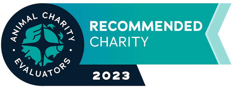 Top Recommended Charity by Animal Charity Evaluators