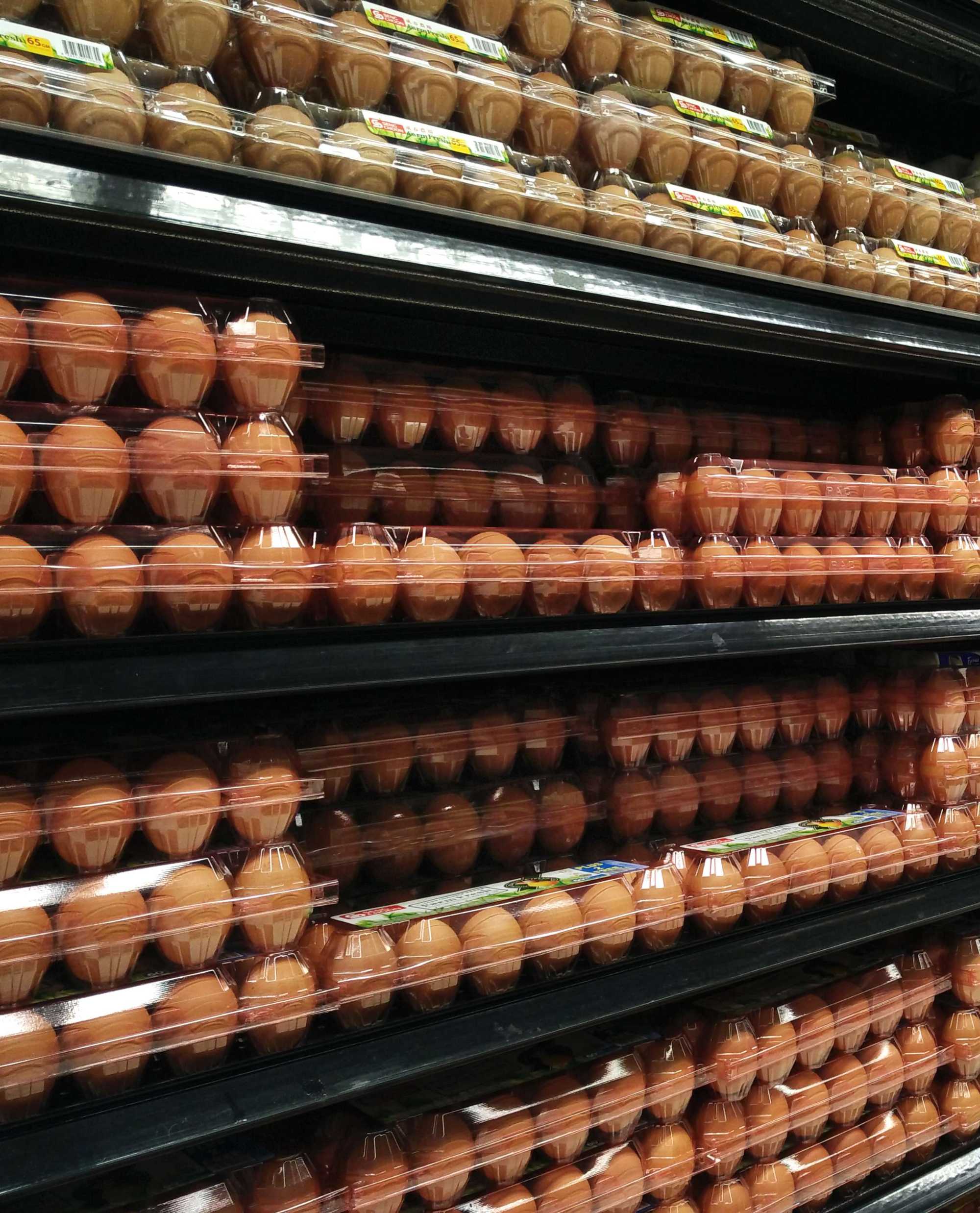 The egg shelf in a grocery store. The shelf is filled with brown eggs in clear plastic cartons.