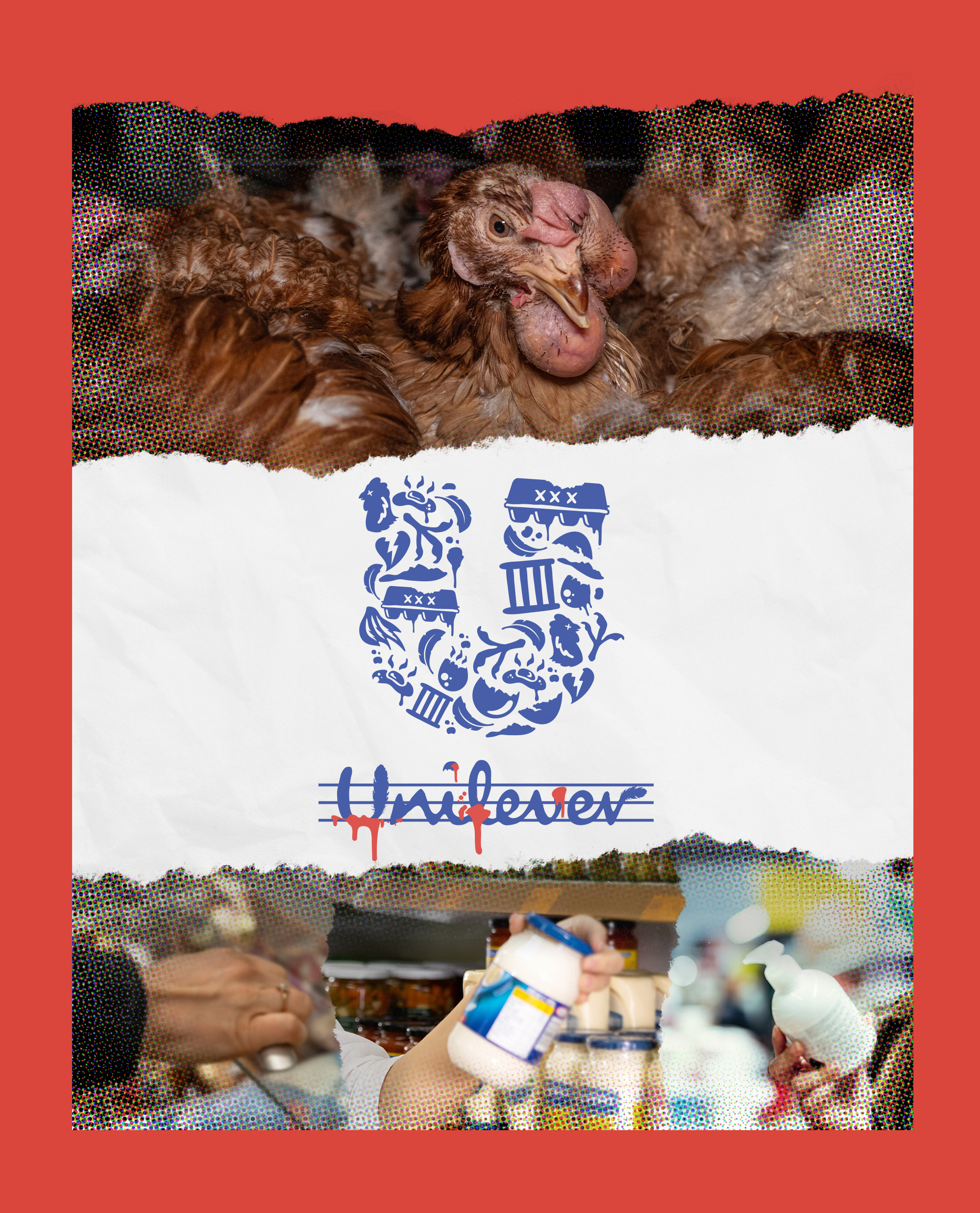 Bloodied Unilever logo on a ripped paper background over a brown factory farmed hen.